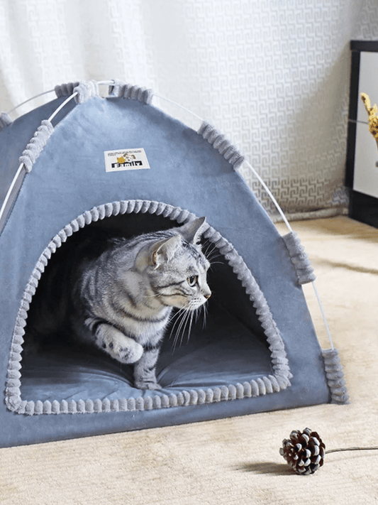 Tente de jeu pour chats